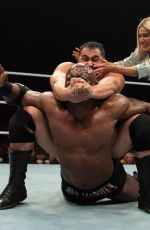 WWE Live in UK and Netherlands