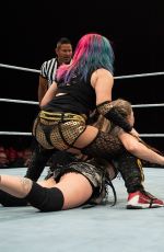 WWE Live in UK and Netherlands