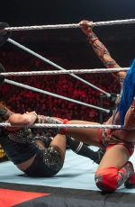 WWE Live in UK and Netherlands
