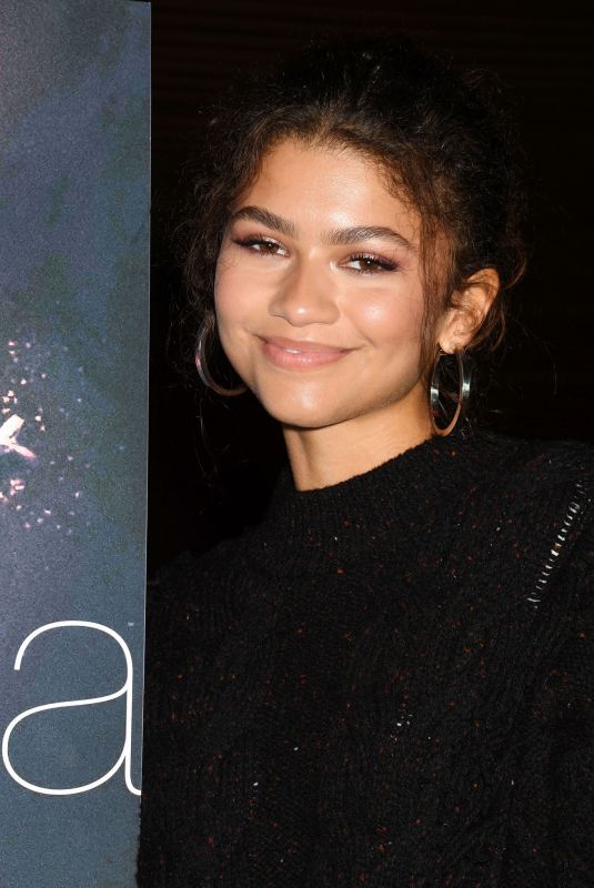 ZENDAYA at Euphoria FYC Event in Los Angeles 11/12/2019