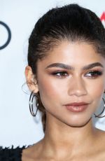 ZENDAYA COLEMAN at Queen and Slim Premiere in Hollywood 11/14/2019