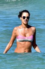 ALESSANDRA AMBROSIO in Bikini at a Beach in Florianopolis 12/30/2019