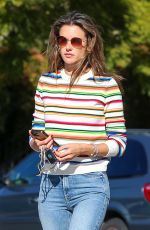 ALESSANDRA AMBROSIO Out and About in Los Angeles 12/16/2019