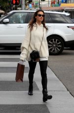 ALESSANDRA AMBROSIO Out Shopping in Beverly Hills 12/23/2019