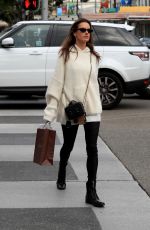 ALESSANDRA AMBROSIO Out Shopping in Beverly Hills 12/23/2019