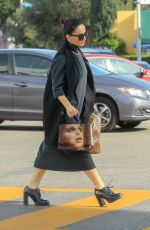 ANA DE LA REGUERA Out Shopping in Los Angeles 12/20/2019