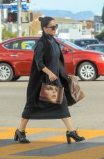 ANA DE LA REGUERA Out Shopping in Los Angeles 12/20/2019