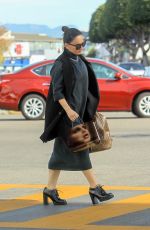 ANA DE LA REGUERA Out Shopping in Los Angeles 12/20/2019