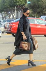 ANA DE LA REGUERA Out Shopping in Los Angeles 12/20/2019
