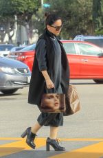 ANA DE LA REGUERA Out Shopping in Los Angeles 12/20/2019