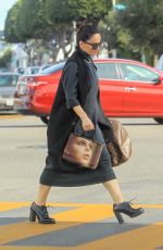 ANA DE LA REGUERA Out Shopping in Los Angeles 12/20/2019
