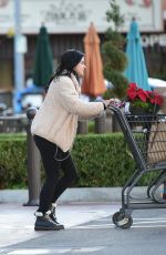 ARIEL WINTER Out Shopping for Grocery in Los Angeles 12/02/2019