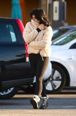 ARIEL WINTER Out Shopping for Grocery in Los Angeles 12/02/2019