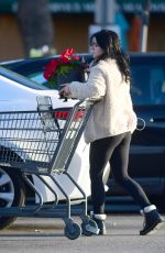ARIEL WINTER Out Shopping for Grocery in Los Angeles 12/02/2019