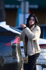 ARIEL WINTER Out Shopping for Grocery in Los Angeles 12/02/2019