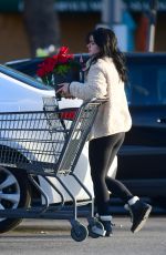 ARIEL WINTER Out Shopping for Grocery in Los Angeles 12/02/2019