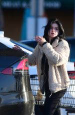 ARIEL WINTER Out Shopping for Grocery in Los Angeles 12/02/2019