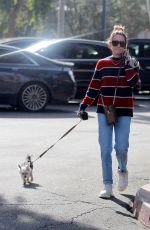 ASHLEY TISDALE Out with Her Dog in Bel Air 12/17/2019