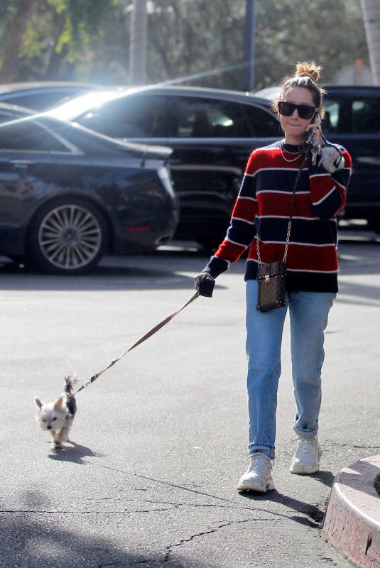 ASHLEY TISDALE Out with Her Dog in Bel Air 12/17/2019