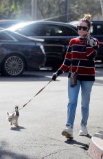 ASHLEY TISDALE Out with Her Dog in Bel Air 12/17/2019