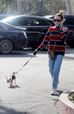 ASHLEY TISDALE Out with Her Dog in Bel Air 12/17/2019