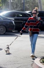 ASHLEY TISDALE Out with Her Dog in Bel Air 12/17/2019