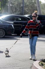 ASHLEY TISDALE Out with Her Dog in Bel Air 12/17/2019