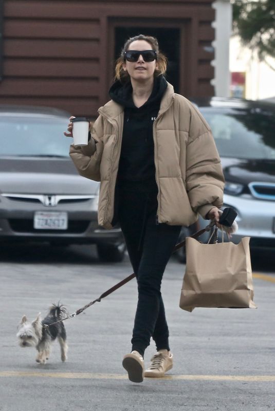 ASHLEY TISDALE Out with Her Dog in Los Feliz 12/14/2019