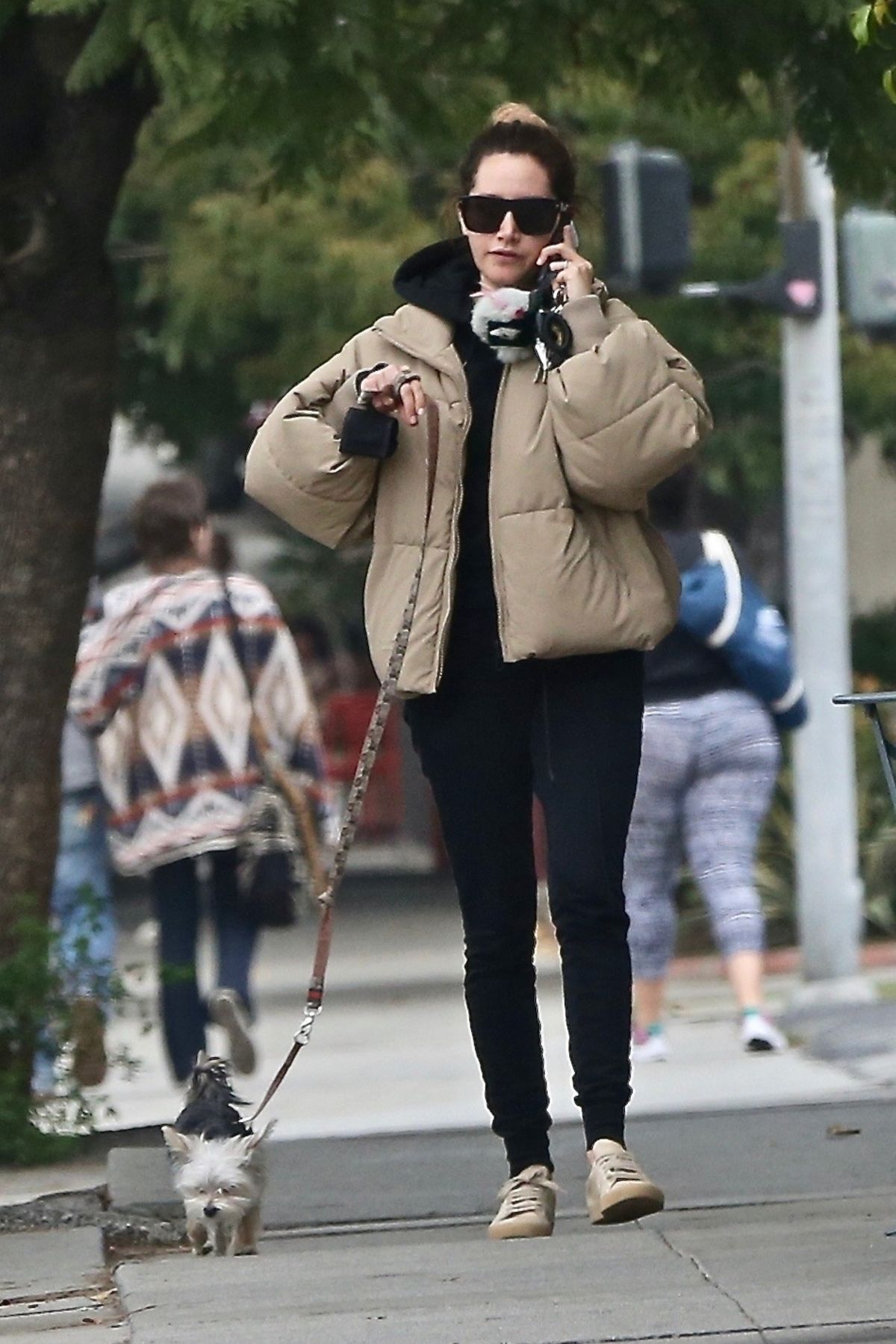 ASHLEY TISDALE Out with Her Dog Ziggy in Los Geliz 12/14/2019 – HawtCelebs