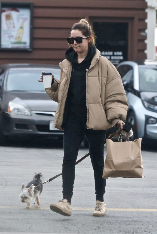 ASHLEY TISDALE Out with Her Dog Ziggy in Los Geliz 12/14/2019