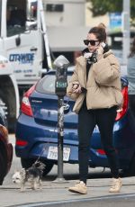 ASHLEY TISDALE Out with Her Dog Ziggy in Los Geliz 12/14/2019
