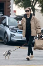 ASHLEY TISDALE Out with Her Dog Ziggy in Los Geliz 12/14/2019