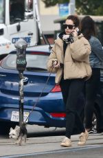 ASHLEY TISDALE Out with Her Dog Ziggy in Los Geliz 12/14/2019
