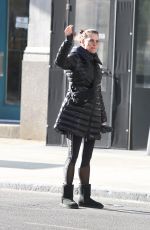 BROOKE SHIELDS Hailing a Cab Out in New York 12/24/2019