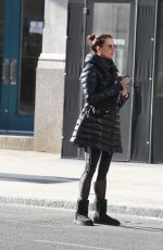 BROOKE SHIELDS Hailing a Cab Out in New York 12/24/2019