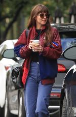 DAKOTA JOHNSON and Blake Lee Out in West Hollywood 12/04/2019