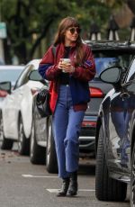 DAKOTA JOHNSON and Blake Lee Out in West Hollywood 12/04/2019
