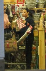 DEMI LOVATO Out Shopping in Los Angeles 12/18/2019
