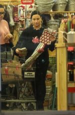 DEMI LOVATO Out Shopping in Los Angeles 12/18/2019