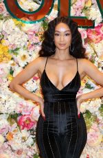 DRAYA MICHELE at Her Clothing Launch in Las Vegas 12/14/2019