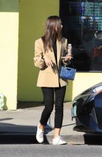 EMILY RATAJKOWSKI Out in Los Angeles 12/19/2019
