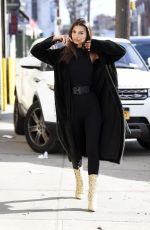 EMILY RATAJKOWSKI Out in New York 12/05/2019