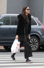 FAMKE JANSSEN Out Shopping in New York 12/27/2019