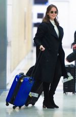 FELICITY JONES at JFK Airport in New York 11/30/2019