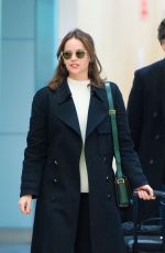 FELICITY JONES at JFK Airport in New York 11/30/2019