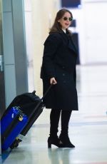 FELICITY JONES at JFK Airport in New York 11/30/2019
