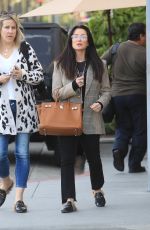 KYLE RICHARDS Out Shopping in Beverly Hills 12/16/2019