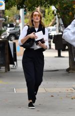 LAURA DERN Out Shopping in Brentwood 12/21/2019