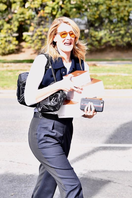LAURA DERN Out Shopping in Brentwood 12/21/2019