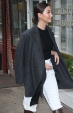 LILY ALDRIDGE Arrives at a Business Meeting in New York 12/11/2019